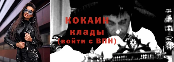 тгк Абаза