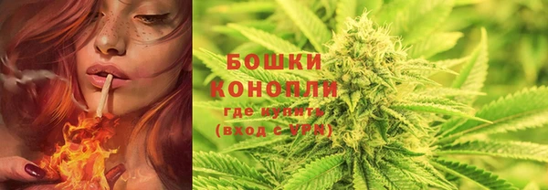 тгк Наволоки