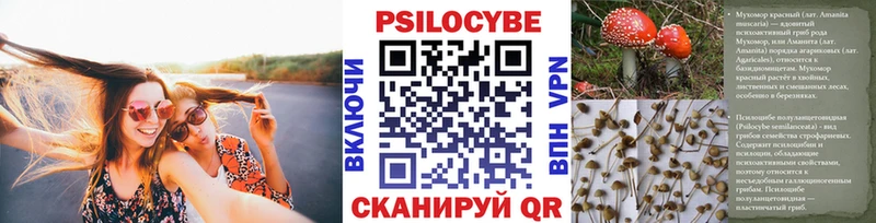 ссылка на мегу как войти  Астрахань  Галлюциногенные грибы MAGIC MUSHROOMS  наркошоп 